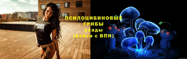 МДПВ Козельск