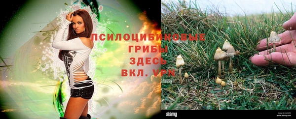 кокаин премиум Козловка