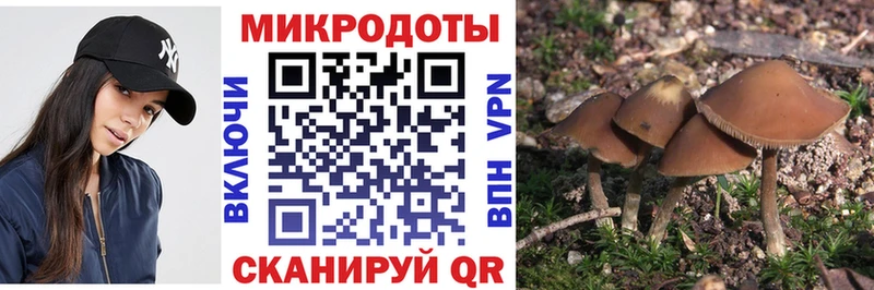 МЕГА маркетплейс  Томмот  сайты даркнета как зайти  даркнет сайт  Псилоцибиновые грибы Magic Shrooms 